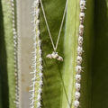 Collar corazón milagritos con alas
