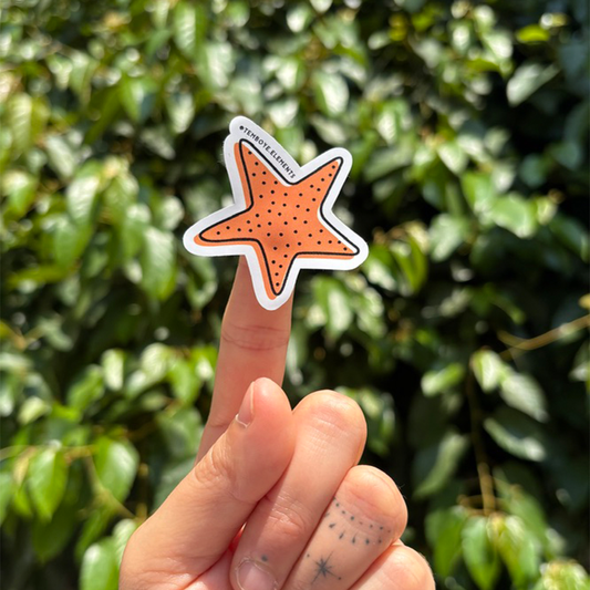 Sticker Strella De Mar Naranja