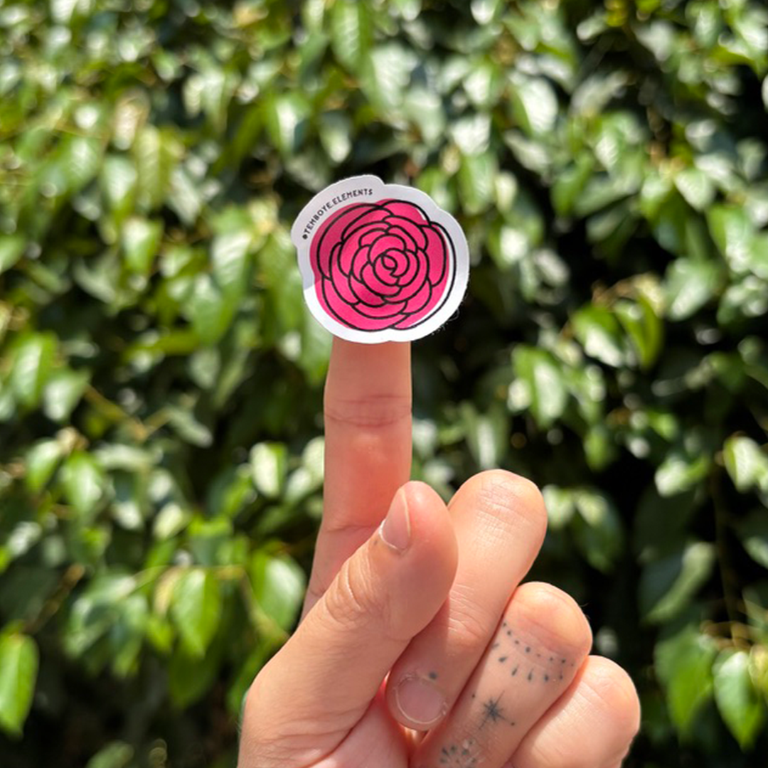 Sticker Ranúnculo rosa
