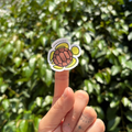 Sticker Tortuga ch